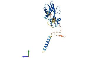 Protein Structure (PS) image for Receptor (Chemosensory) Transporter Protein 1 (RTP1) (AA 1-263) protein (His tag) (ABIN7551604)