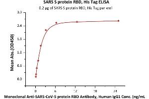 Immobilized SARS S protein RBD, His Tag (ABIN6952627) at 2 μg/mL (100 μL/well) can bind Monoclonal Anti-SARS-CoV-S protein RBD Antibody, Human IgG1 with a linear range of 0. (SARS-CoV Spike Protein (RBD) (His tag))