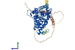 Protein Structure (PS) image for Peroxisome Proliferator-Activated Receptor alpha (PPARA) (AA 1-468) protein (His tag) (ABIN7555075)