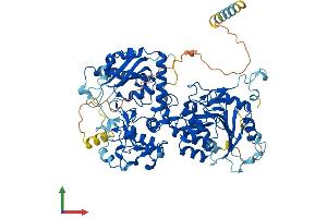 AlphaFold protein structure predicition of Mouse Recombinant Ext1 Protein, UniprotID P97464