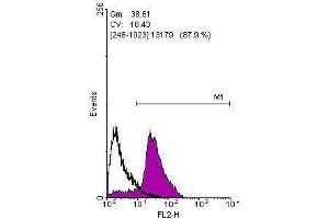 FACS Image Flow cytometry on human embryonic stem cells, staining with Oct4 ,antibody at 1:100 dilution(purple) or rabbit IgG (black). (OCT4 抗体)