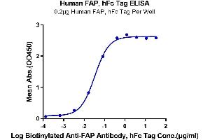 ELISA image for Fibroblast Activation Protein, alpha (FAP) (AA 26-760) protein (Fc Tag) (ABIN7274584)