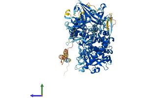 Protein Structure (PS) image for DIS3-Like Exonuclease 1 (DIS3L) (AA 1-1054) protein (His tag) (ABIN7553708)
