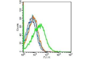 Flow Cytometry (FACS) image for anti-Angiotensin I Converting Enzyme 2 (ACE2) (AA 601-700) antibody (ABIN730798)