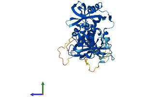 Protein Structure (PS) image for Cereblon (CRBN) (AA 1-442) protein (His tag) (ABIN7553547)