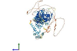 Protein Structure (PS) image for Signal Transducer and Activator of Transcription 2, 113kDa (STAT2) (AA 1-923) protein (His tag) (ABIN7565245)
