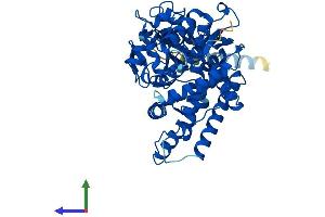 AlphaFold protein structure predicition of Mouse Recombinant Cyp2s1 Protein, UniprotID Q9DBX6 (CYP2S1 Protein (AA 1-501) (His tag))