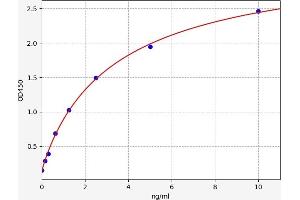 Typical standard curve (SMURF2 ELISA 试剂盒)