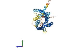 Protein Structure (PS) image for Olfactory Receptor, Family 2, Subfamily W, Member 1-Like (OR2W3) (AA 1-314) protein (His tag) (ABIN7550518)