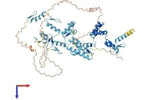 Zinc Finger Protein 354B (ZNF354B) (AA 1-612) protein (His tag)