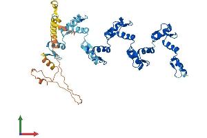 Protein Structure (PS) image for Zinc Finger Protein 436 (ZNF436) (AA 1-470) protein (His tag) (ABIN7545324)