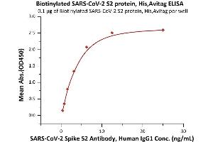 ELISA image for SARS-CoV-2 Spike S2 (Active) protein (His tag,AVI tag,Biotin) (ABIN6973258)