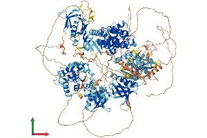 Protein Structure (PS) image for ArfGAP with RhoGAP Domain, Ankyrin Repeat and PH Domain 3 (ARAP3) (AA 1-1544) protein (His tag) (ABIN7552233)