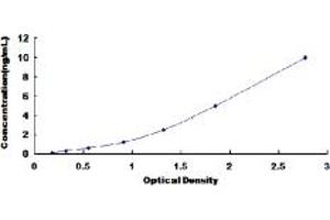 ELISA image for Tumor Necrosis Factor Receptor Superfamily, Member 11b (TNFRSF11B) ELISA Kit (ABIN6960287)