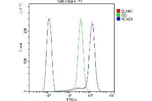 Flow Cytometry analysis of THP-1 cells using anti-HDAC4 antibody (ABIN5518841). (HDAC4 抗体  (AA 4-213))