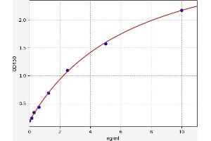 CDK5 ELISA 试剂盒