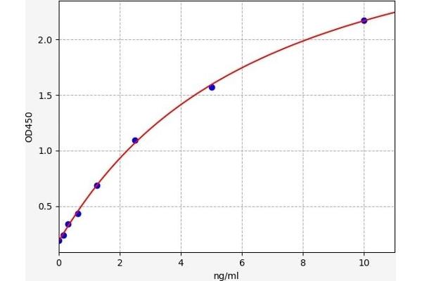 CDK5 ELISA 试剂盒