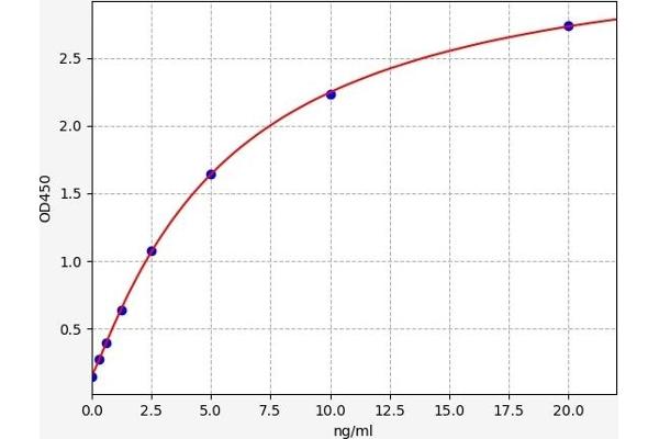 LRP4 ELISA 试剂盒