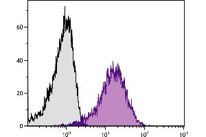 Human peripheral blood platelets were stained with Mouse Anti-Human CD36-FITC. (CD36 抗体  (FITC))