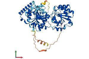 Protein Structure (PS) image for Phosphatidylinositol Glycan Anchor Biosynthesis, Class A (PIGA) (AA 1-485) protein (His tag) (ABIN7557824)
