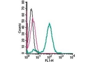 Flow Cytometry (FACS) image for anti-Solute Carrier Family 7, (Cationic Amino Acid Transporter, Y+ System) Member 11 (SLC7A11) (AA 218-231), (Extracellular) antibody (ABIN7043751)