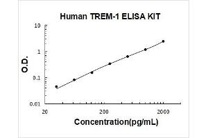 Triggering Receptor Expressed On Myeloid Cells 1 (TREM1) ELISA Kit