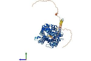 Protein Structure (PS) image for Glycine Transporter 1 (GLYT1) (AA 1-706) protein (His tag) (ABIN7555433)