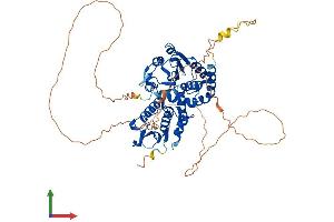 Protein Structure (PS) image for CDC14 Cell Division Cycle 14 Homolog A (CDC14A) (AA 1-594) protein (His tag) (ABIN7553086)