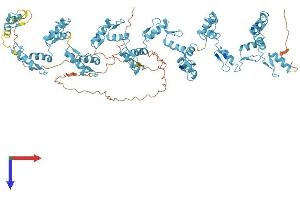 AlphaFold protein structure predicition of Human Recombinant ZNF841 Protein, UniprotID Q6ZN19