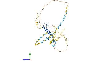 Protein Structure (PS) image for Cyclin-Dependent Kinase Inhibitor 1C (p57, Kip2) (CDKN1C) (AA 1-316) protein (His tag) (ABIN7553404)