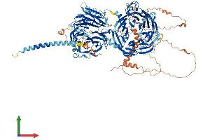 Protein Structure (PS) image for Syntaxin Binding Protein 5 (Tomosyn) (STXBP5) (AA 1-1152) protein (His tag) (ABIN7564663)