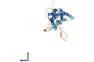 AlphaFold protein structure predicition of Mouse Recombinant Brs3 Protein, UniprotID O54798