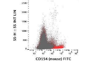 Surface staining of activated murine splenocytes (PHA + PMA + ionomycin for 6 hours) using anti-CD154 (MR-1) FITC. (CD40 Ligand 抗体  (FITC))