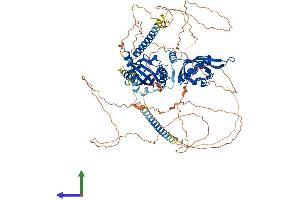 Protein Structure (PS) image for Clock Homolog (Mouse) (CLOCK) (AA 1-846) protein (His tag) (ABIN7553401)