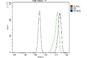 Flow Cytometry analysis of CACO-2 cells using anti-PFKFB2 antibody (ABIN7601627). (PFKFB2 抗体  (AA 4-505))