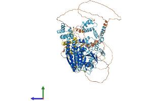 Protein Structure (PS) image for SWI/SNF-Related, Matrix-Associated Actin-Dependent Regulator of Chromatin, Subfamily A, Containing DEAD/H Box 1 (SMARCAD1) (AA 1-1026) protein (His tag) (ABIN7555585)
