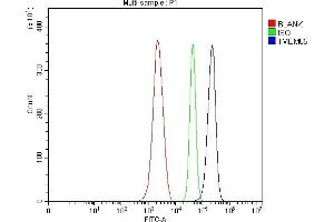 Flow Cytometry analysis of ANA-1 cells using anti-TMEM65 antibody (ABIN7603101).