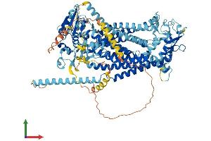 Protein Structure (PS) image for Anoctamin 4 (ANO4) (AA 1-955) protein (His tag) (ABIN7564516)