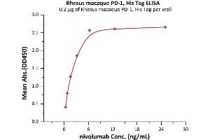 ELISA image for Programmed Cell Death 1 (PDCD1) (AA 25-167) (Active) protein (His tag) (ABIN6992382)