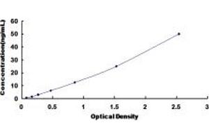 Typical standard curve (WWP2 ELISA 试剂盒)