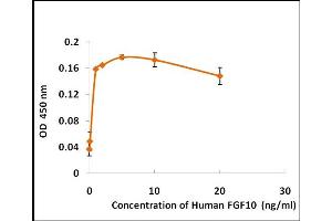 Activity Assay (AcA) image for Fibroblast Growth Factor 10 (FGF10) (Active) protein (ABIN5509306) (FGF10 蛋白)