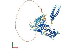 Protein Structure (PS) image for Katanin P60 Subunit A-Like 1 (KATNAL1) (AA 1-490) protein (His tag) (ABIN7548772)