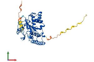 Protein Structure (PS) image for Sulfotransferase Family, Cytosolic, 2B, Member 1 (SULT2B1) (AA 1-338) protein (His tag) (ABIN7562312)