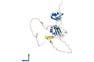 AlphaFold protein structure predicition of Human Recombinant RBM4B Protein, UniprotID Q9BQ04