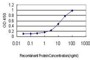 Detection limit for recombinant GST tagged HSF2 is approximately 0. (HSF2 抗体  (AA 1-230))
