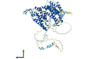 Protein Structure (PS) image for Activating Signal Cointegrator 1 Complex Subunit 2 (ASCC2) (AA 1-749) protein (His tag) (ABIN7560053)