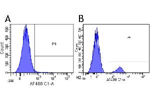 Flow-cytometry using anti-CD22 antibody Epratuzumab   Human lymphocytes were stained with an isotype control (panel A) or the rabbit-chimeric version of Eptratuzumab ( panel B) at a concentration of 1 µg/ml for 30 mins at RT. (Recombinant CD22 (Epratuzumab Biosimilar) 抗体)