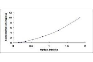 Typical standard curve (VPS37A ELISA 试剂盒)
