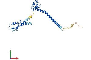Protein Structure (PS) image for Tripartite Motif Containing 61 (TRIM61) (AA 1-209) protein (His tag) (ABIN7544721)