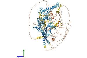 AlphaFold protein structure predicition of Mouse Recombinant Wwc1 Protein, UniprotID Q5SXA9